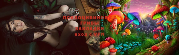 сатива Семилуки