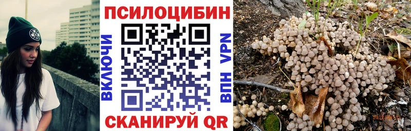 Галлюциногенные грибы GOLDEN TEACHER купить наркотик мега маркетплейс Чекалин