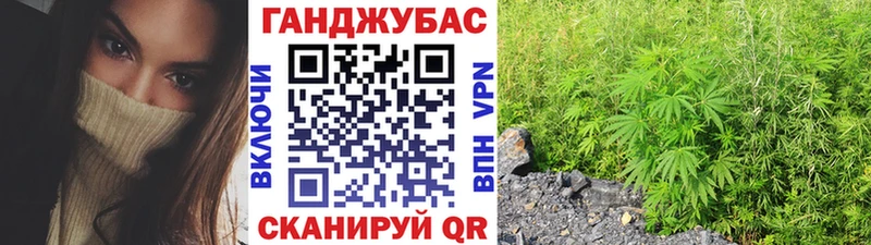 MEGA сайт  Чекалин  Бошки Шишки Amnesia 